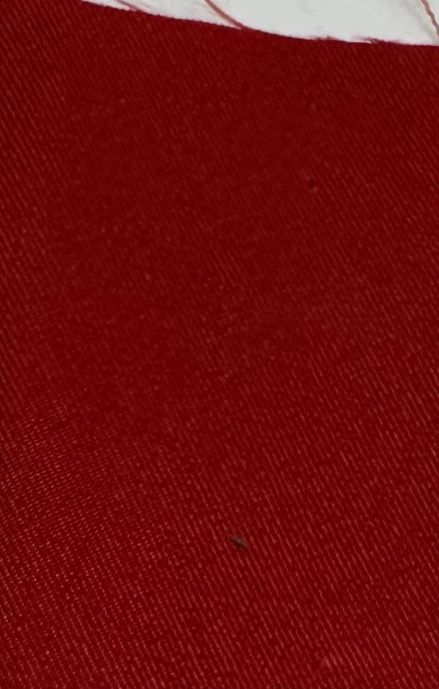Toptex suiting fabric, red appearance, photo 08