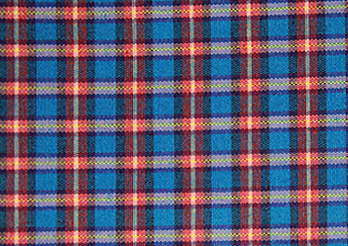 Red, navy, yellow and white check fabric, shown close up